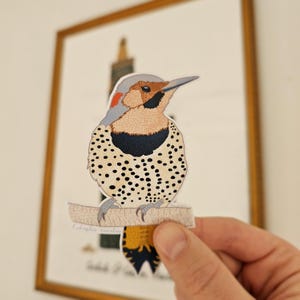 Klistermärke med norrskt flimmer, hackspett, fågel, 10 cm högt, vetenskapligt klistermärke, konstnärlig teckning, realistiska klistermärken, vattentålig