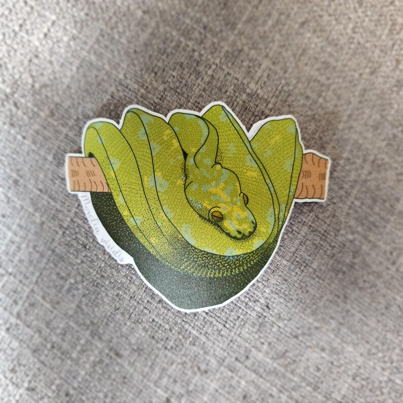 K&ouml;nnte beinhalten: Ein Aufkleber mit einer aufgerollten gr&uuml;nen Baumpython mit gelben Markierungen, die auf einem braunen Ast ruht. Die Schlange ist das zentrale Element, dargestellt in einem detaillierten Illustrationsstil. Der Aufkleber hat einen wei&szlig;en Rand und der Text "Morelia viridis" ist sichtbar.