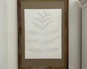 Hand Drawn Fern Wall Art