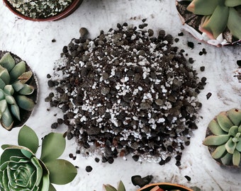 Cactus soil substrate for cacti and succulents, mineral, peat-free