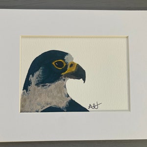 8 x 10 Peregrine Falcon Giclee with White Border