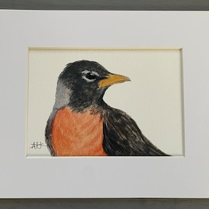 8 x 10 American Robin Giclee with White Border.