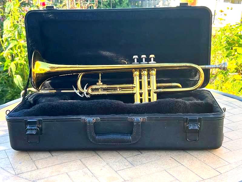 Vintage trumpet case - Etsy 日本