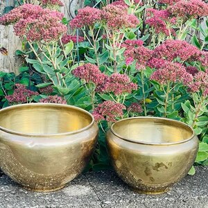 Vintage Pair Of Brass Planters/Jardinieres Plant Holders On Circular Bases in 2 Varying Size. Indoor/Outdoor Planters Home Accent