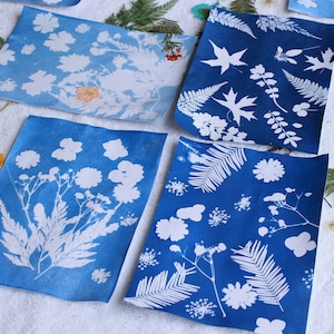 Cyanotype Sun Print Kit: DIY Botanical Blueprint Art