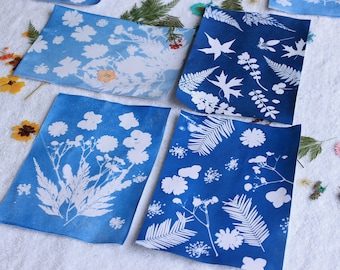 Cyanotypie Sun Print Kit: Botanische Blueprint Kunst