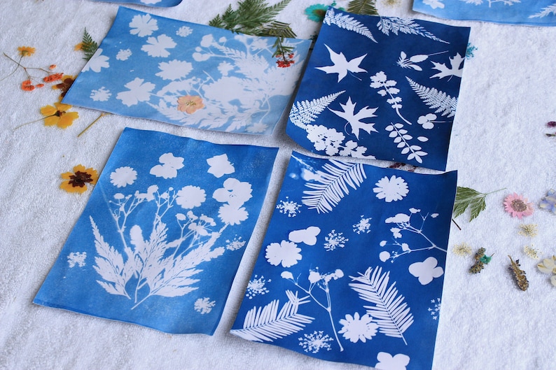 photography with a complete cyanotype sun printing kit, perfect for artists and DIY enthusiasts looking to explore the unique, blue-hued process of creating stunning, sunlight-developed images and prints