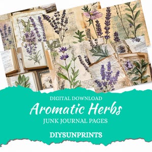 Diario di erbe aromatiche, 35 download digitali, 8,5 x 11, materiale effimero stampabile, carta per lavoretti, materiali per diario di erbe aromatiche