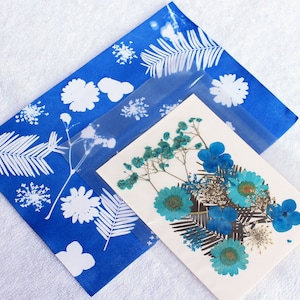 Kit artigianale Stampe solari cianotipiche Stampa solare fai da te Foto artigianali Regali da realizzare Artigianato per bambini Fiori botanici Felci Stencil Blueprint Art #06