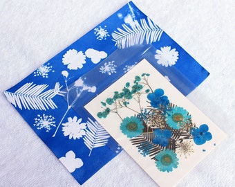 Cyanotype Craft Kit: DIY Sun Prints with Botanicals