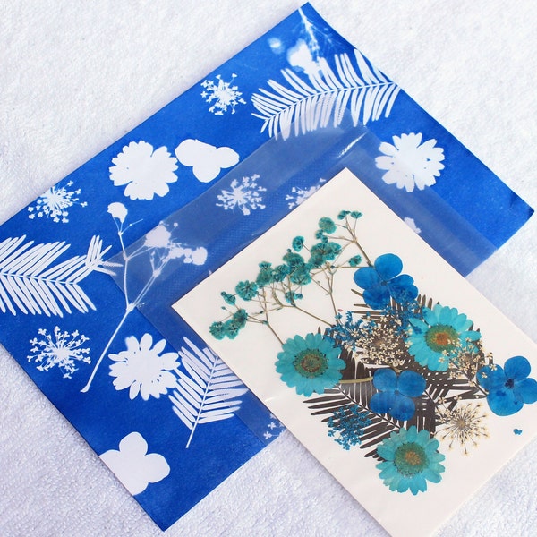 Craft Kit Cyanotype Sun Prints DIY Solar Printing Photo Craft Gifts To Make Kids Crafts Botanical Flowers Ferns Stencil Blueprint Art #06