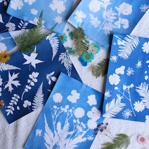 Kit fai da te per la stampa solare Stampe solari cianotipiche Regali artigianali fotografici da realizzare Artigianato per bambini Fiori botanici Felci Stencil Blueprint Art #01