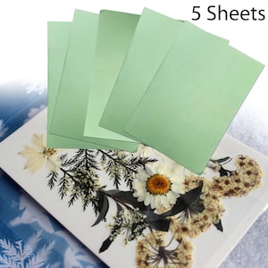 Cyanotype Sun Print Craft Kit: DIY Solar Printing with Botanicals