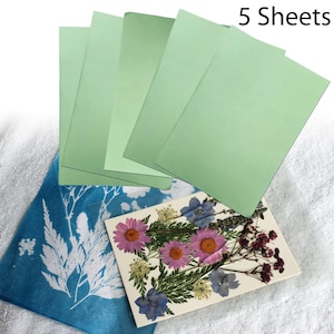 DIY Cyanotype Sun Print Kit: Botanical Art Craft