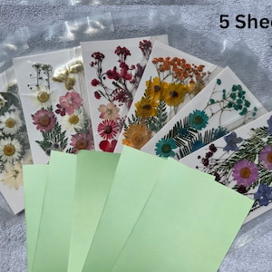 Kit fai da te per la stampa solare Stampe solari cianotipiche Regali artigianali fotografici da realizzare Artigianato per bambini Fiori botanici Felci Stencil Blueprint Art #07
