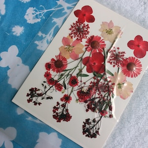 Cyanotype Sun Print Kit: DIY Botanical Blueprint Art