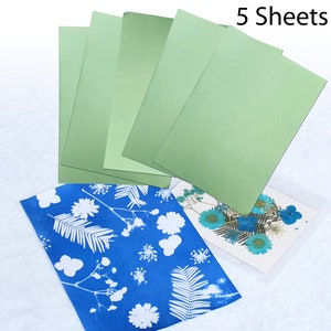 Kit artigianale Stampe solari cianotipiche Stampa solare fai da te Foto artigianali Regali da realizzare Artigianato per bambini Fiori botanici Felci Stencil Blueprint Art #06