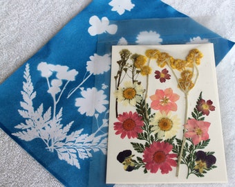 DIY Cyanotype Sun Print Kit: Botanical Craft, Photo Gifts