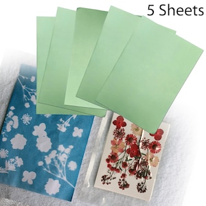 Cyanotype Sun Print Kit: DIY Solar Printing with Botanicals