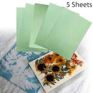 Cyanotype Sun Printing Kit: DIY Botanical Blueprint Art
