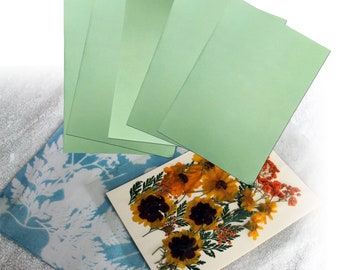 Cyanotype Sun Printing Kit: DIY Botanical Blueprint Art