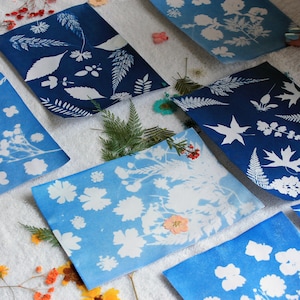 Cyanotype Craft Kit: DIY Sun Prints with Botanicals
