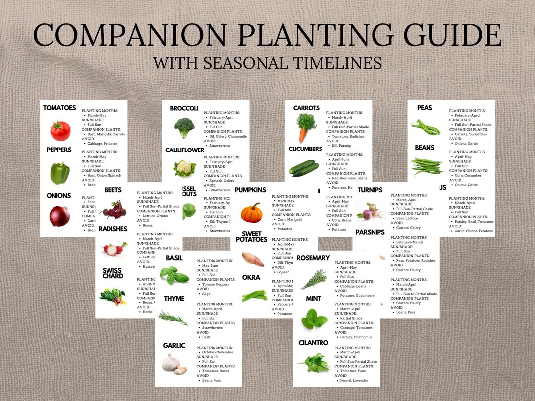 洋書　Planting Companions Great Garden Companions: A Companion-Planting System for a
