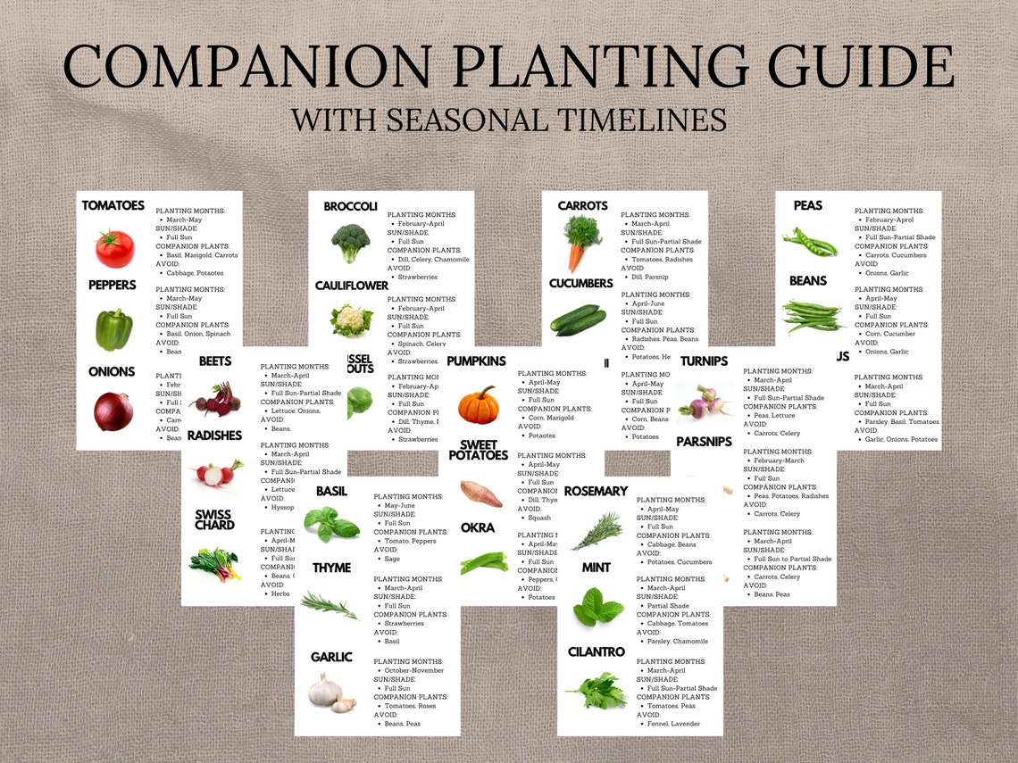 Companion Planting Guide, Garden Planting Chart, Plant Planner ...