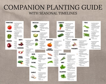 Guía de plantación complementaria, Tabla de plantación de jardines, Planificador de plantas, Espaciado de vegetales, Temporada de vegetales, Tarjetas de plantas, Organizador de jardinería,