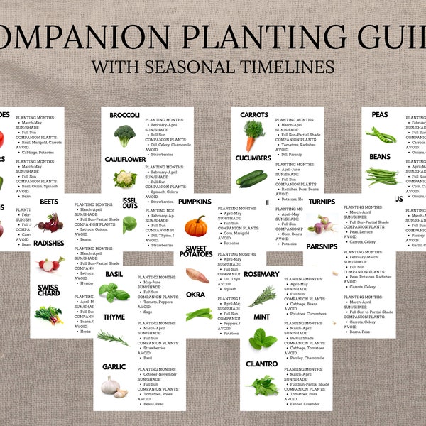 Companion Planting Guide, Garden Planting Chart, Plant Planner, Vegetable Spacing, Veggie Season, Plant Cards, Gardening Organizer,