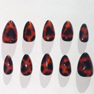 May include: Ten tortoise shell-patterned fake nails in a teardrop shape.