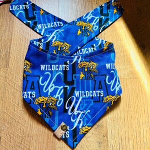 Kentucky Wildcats Dog Bandana | Handmade College Pet Scarf