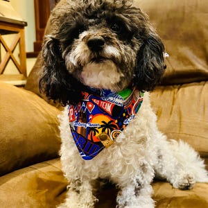 Florida Gators Dog Bandana: Handmade College Team Pet Scarf