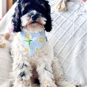 Dog Bandana | Lemon | Summer Themed | Custom | Tie On