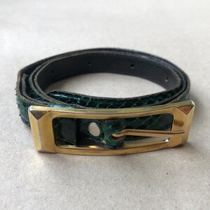 Puede incluir: Un cinturón de cuero verde con una hebilla dorada. El cinturón tiene un patrón de piel de serpiente.
