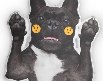 Oreiller Emoji hurlant 3D personnalisé à partir d'une photo, cadeau oreiller Emoji drôle chien chat peur peur surprise pour amoureux des animaux de compagnie ami dortoir universitaire