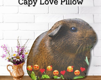 Kawaii Cute Capybara Pillow, Stuffed animal Happy Cartoon Capybara Pet Plush Pillow fun decorative dorm room roommate gifts for college