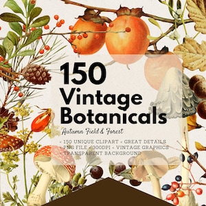 150 Vintage Botanicals Herbst Feld und Wald Clipart Set, vorgefertigte Clipart, Antique Wald Clipart, PNG Grafiken, Wanddekoration, Digital Art