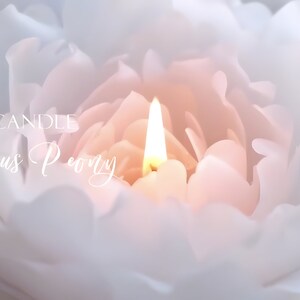 May include: A white flower candle with a lit wick in the center. The candle is shaped like a peony and has the text "FLOWER CANDLE Herbaceous Peony" on the front.