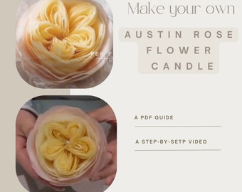 Clase de fabricación de velas Austin Rose • Video tutorial incluido, cera de abejas natural, receta fácil de velas para principiantes