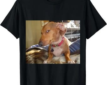 Bombastic Side Eye Dog Hoodie, Funny Sarcastic Judgemental Dog Meme Shirt, Unisex T-Shirt, Funny Meme Shirt For Him and Her