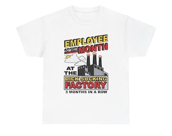 Camiseta divertida para el empleado del mes, camiseta con humor, regalo para amigos, camiseta unisex, ropa informal, humor de oficina, camiseta de regalo de cumpleaños