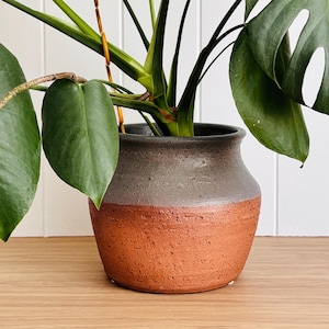 May include: A Monstera plant in a two-tone ceramic pot. The plant has large, green leaves, some with distinctive splits. The pot is dark grey at the top and reddish-brown at the base. The pot is on a wooden surface.