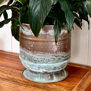 May include: A large, dark green leafy plant potted in a cylindrical metal planter. The planter features a weathered, hammered copper finish with prominent teal and turquoise oxidation patterns around the base and lower section, resting on a circular rim.