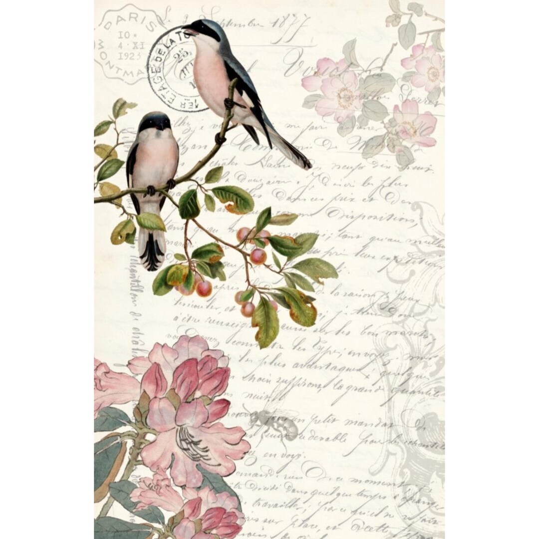 Spring Decopauge Spring Bird Decoupage Paper: Floral Furniture Design (21x29) - Etsy