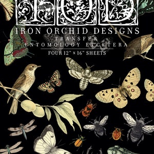 May include: Iron Orchid Designs transfer sheet with a black background and a variety of insects, butterflies, and other nature-inspired illustrations. The text "Iron Orchid Designs Transfer Entomology Etcetera Four 12" x 16" Sheets" is printed in white on the sheet.