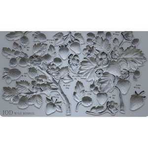May include: A silicone mold for baking wild berries. The mold features a detailed design of a strawberry plant with leaves, flowers, and berries of various sizes. The mold is labeled "IOD WILD BERRIES".