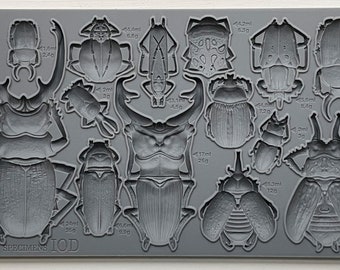 Specimens IOD Decor Mould