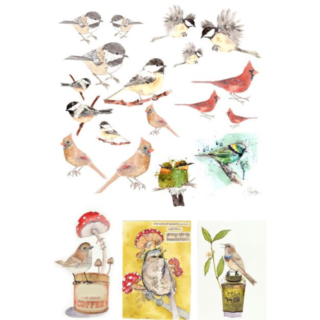 Catalog of Birds by Lexi Grenzer Etsy