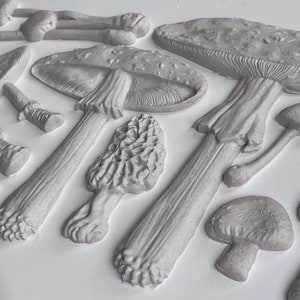 May include: A collection of gray mushroom-shaped silicone molds. The molds are detailed with realistic textures and shapes.